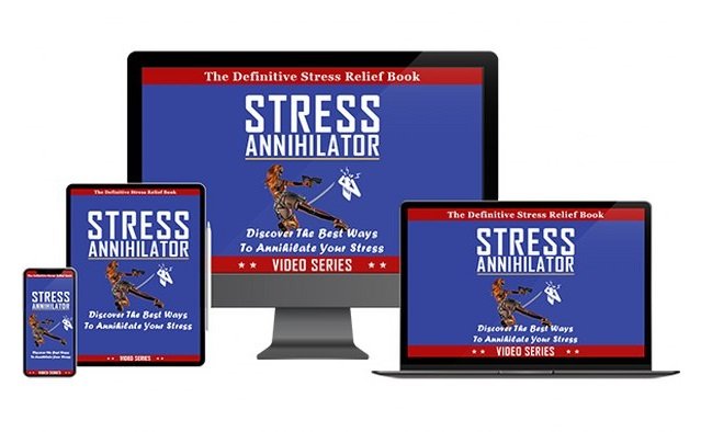 Understanding Stress: Exploring the Causes and Effects of an Overwhelmed Mind