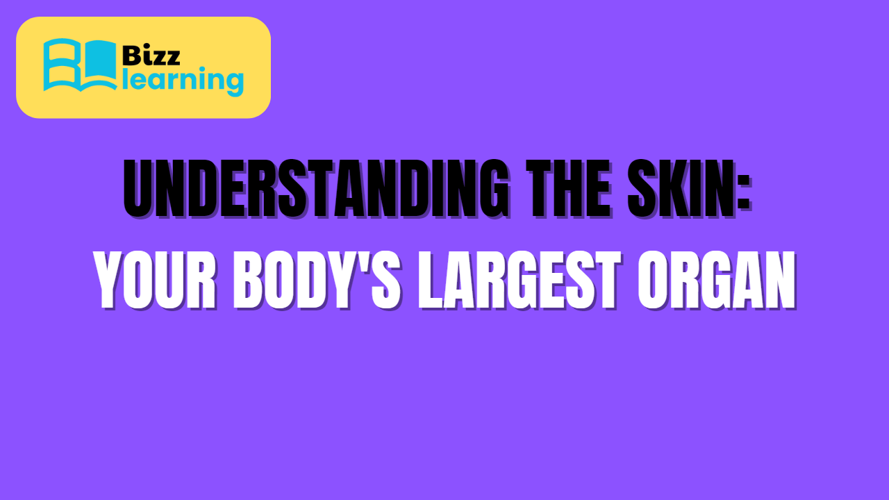 Understanding the Skin: Your Body’s Largest Organ